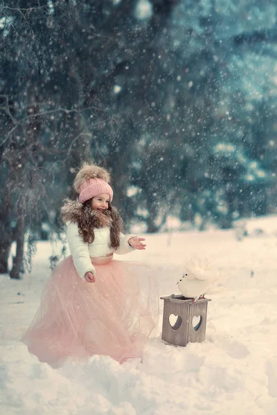 Inverno nevado e uma menina em um boné com pombas — Fotografia de Stock