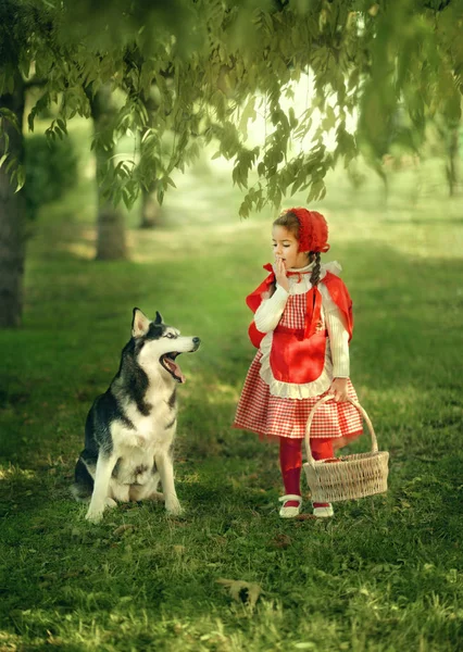 Red Riding Hood och grå varg i skogen — Stockfoto