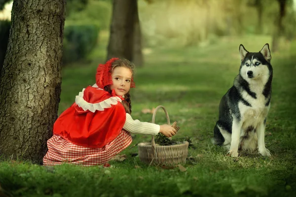 Red Riding Hood en grijze wolf in het bos — Stockfoto