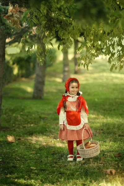 Red Riding Hood en grijze wolf in het bos — Stockfoto