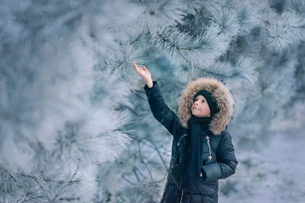 Menino em uma jaqueta com um capuz em um parque nevado — Fotografia de Stock
