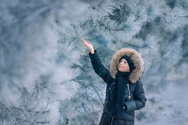 Ragazzo in giacca con cappuccio in un parco innevato — Foto Stock