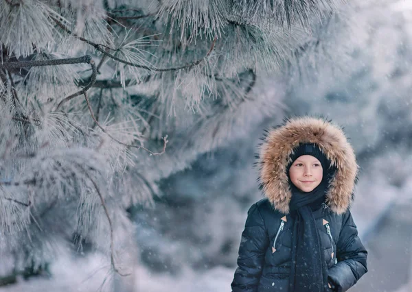 Menino em uma jaqueta com um capuz em um parque nevado — Fotografia de Stock