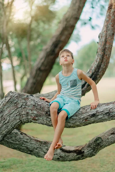 Jongen zittend op een boom — Stockfoto