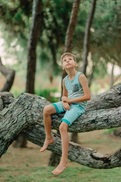 Jongen zittend op een boom — Stockfoto