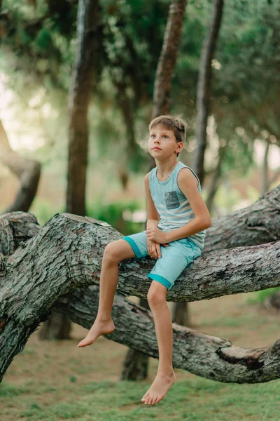 Chlapec sedí na stromě — Stock fotografie