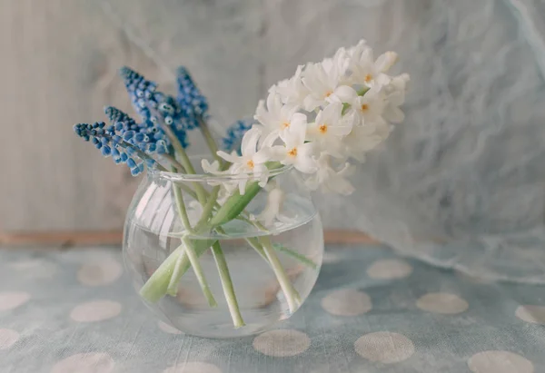Ronde glazen vaas met hyacint — Stockfoto