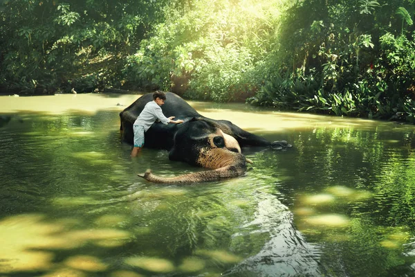 Chlapec v řece omývá slon — Stock fotografie