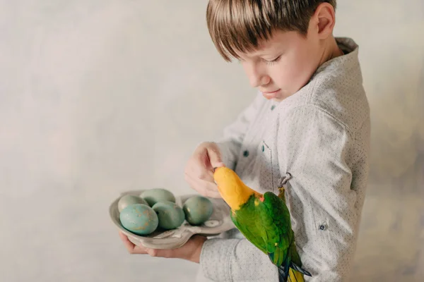 Pojke med påskägg och en papegoja — Stockfoto