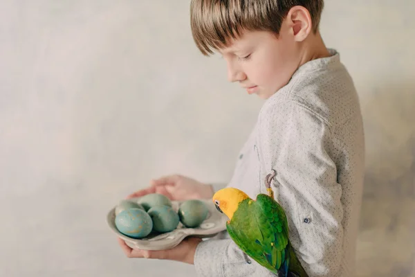 Boy dengan telur Paskah dan burung beo — Stok Foto