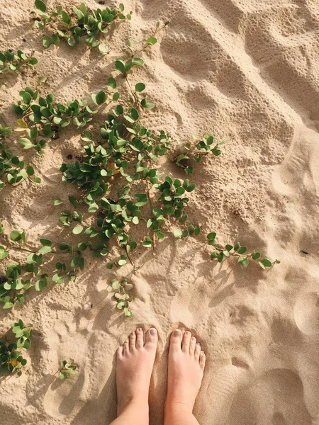 Nackte Füße im Sand — Stockfoto