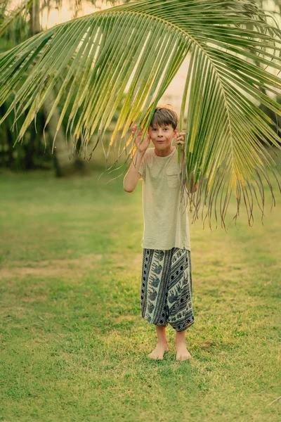 Pojken på det gröna gräset håller en palm filial — Stockfoto