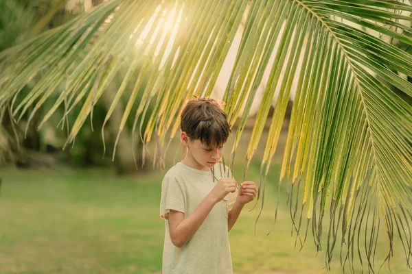 男孩抱着一个棕榈枝绿色的草地上 — 图库照片