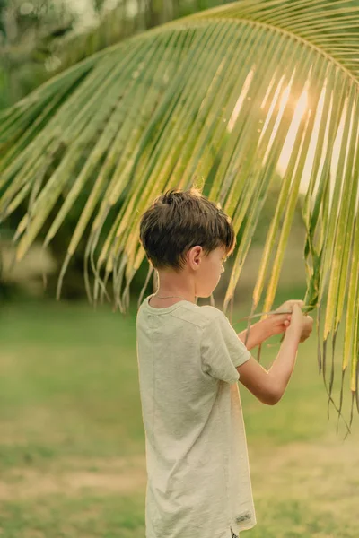 Pojken på det gröna gräset håller en palm filial — Stockfoto