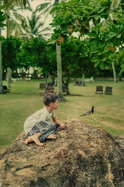 No parque um menino e um pássaro — Fotografia de Stock