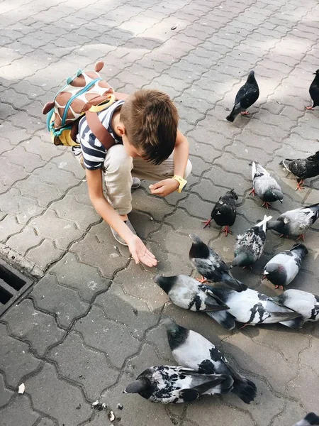 Niño alimentando a las palomas — Foto de Stock