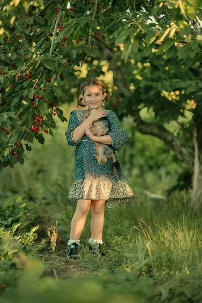 Girl with a dog in the garden — Stock Photo, Image