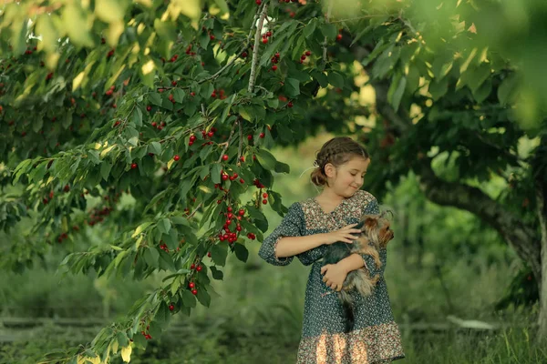 Girl with a dog in the garden — Stock Photo, Image