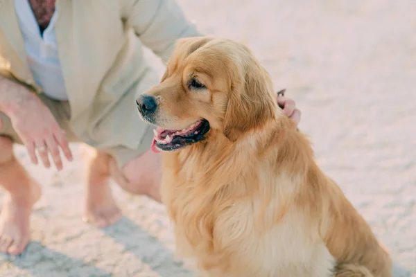 Mann mit Hund am Strand — Stockfoto
