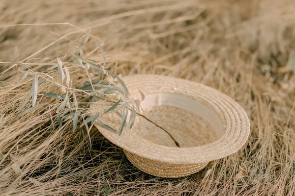 Hut mit Olivenzweig — Stockfoto