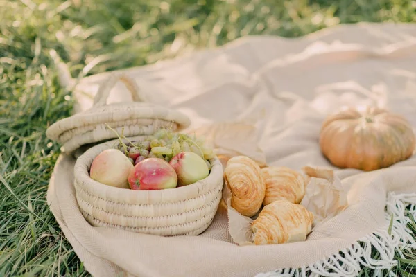 On a glade a wicker basket — Stock Photo, Image