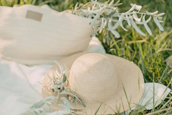 Sombrero con rama de olivo — Foto de Stock