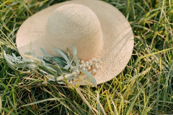 Hat with olive branch — Stock Photo, Image