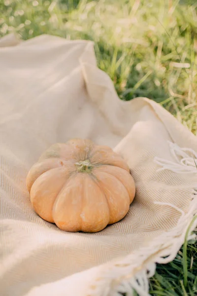 Pumpkin on a tablecloth — Stock Photo, Image