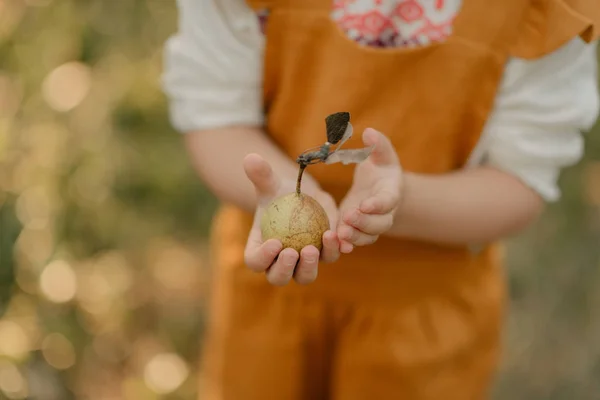 Turuncu Tulum Meyve Tutan Çocuk — Stok fotoğraf