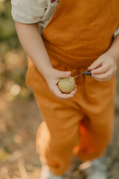 フルーツを保持しているオレンジ色のオーバー オールの子供 — ストック写真