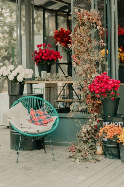 Dziedziniec Stylu Loft Różnych Jesienne Kwiaty — Zdjęcie stockowe
