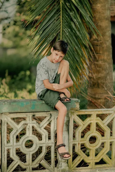 Boy Sits Fence Palm Tree — Stock Photo, Image