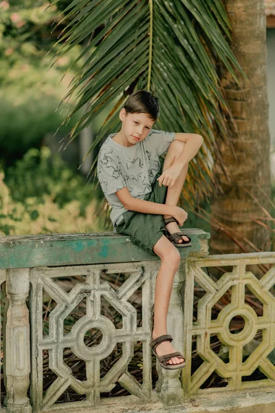 Der Junge Sitzt Auf Einem Zaun Unter Palmen — Stockfoto