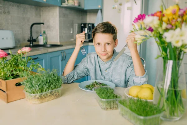 Boy Blue Shirt Microgreen Kitchen — Stock Photo, Image