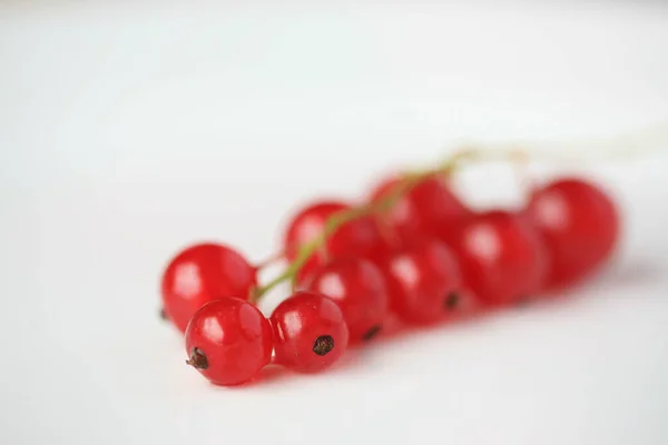 Red Currant Berries White Background — Stock Photo, Image