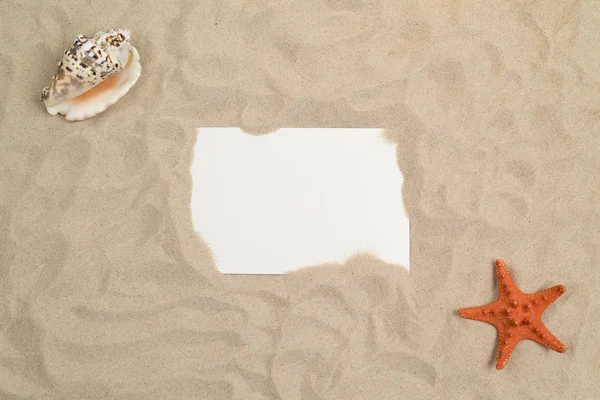 Schelpen Zand Met Wit Vierkant Papier Zomer Reizen — Stockfoto