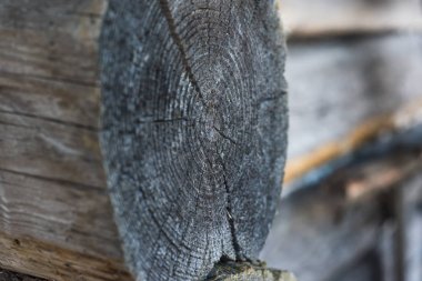 eski rustik tarzı kanca kilit odun arka plan ahşap kapı ahşap eski boya