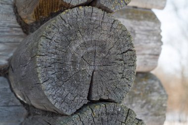 eski rustik tarzı kanca kilit odun arka plan ahşap kapı ahşap eski boya