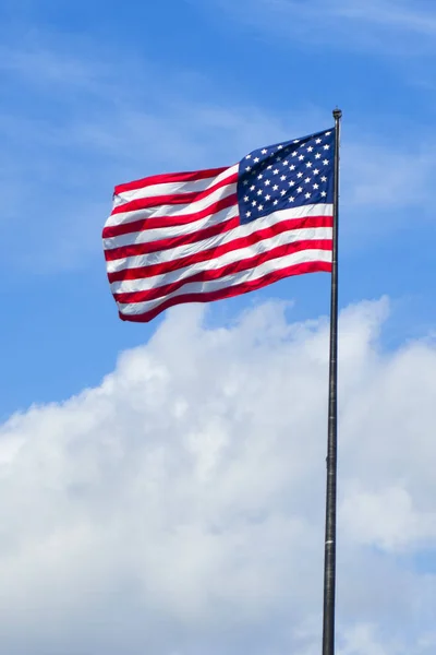 Bir Amerikan bayrağı