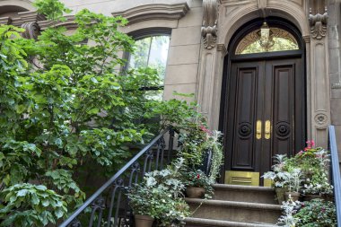 Doğal ağaç Caddesi tarihi kumtaşı 