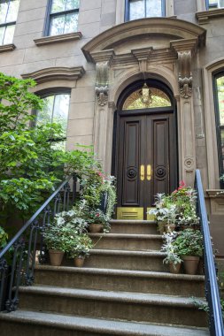 Doğal ağaç Caddesi tarihi kumtaşı 