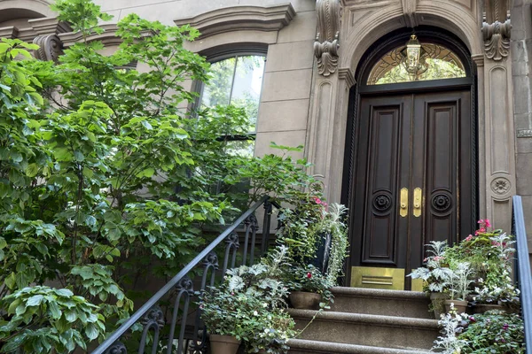 Doğal ağaç Caddesi tarihi kumtaşı 