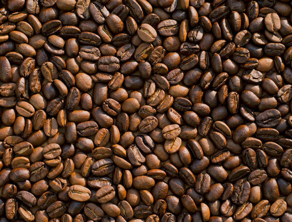 Roasted coffee bean