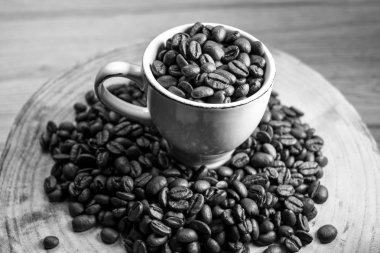 Cafee beyaz bir fincan 