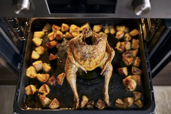 Ayam dalam panci panggang dalam oven — Stok Foto