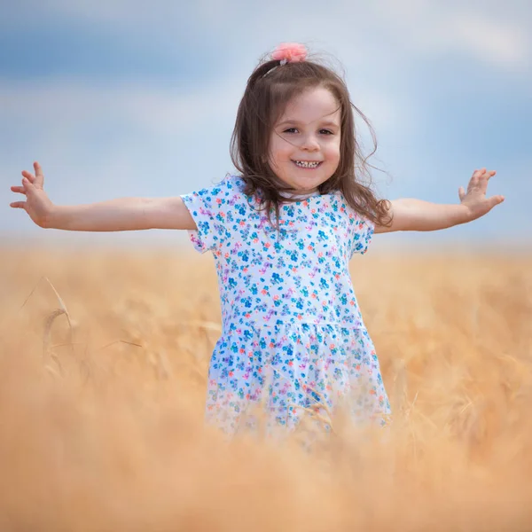 幸せな女の子黄金の小麦の中を歩くと フィールドでの生活を楽しんでいます 自然の美しさ 青空と小麦のフィールド 家族のアウトドアライフスタイル 自由の概念 かわいいです女の子で夏フィールド — ストック写真