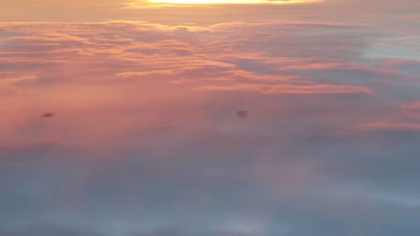 Boven de wolken — Stockvideo