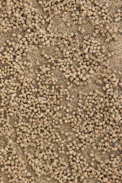 É textura de areia — Fotografia de Stock