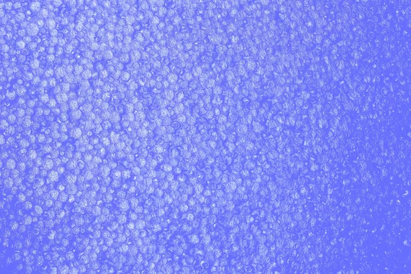 blue  foam sheet