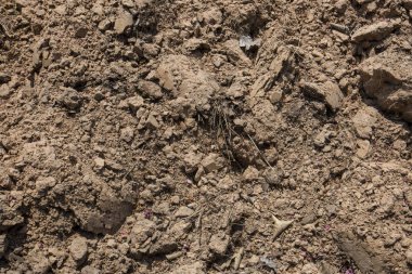 Yer dokusu. Koyu Yer Yüzeyinin Üst Görünümü.